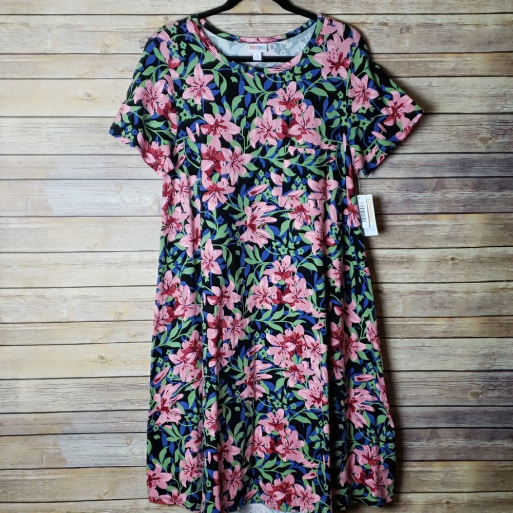 🆕️LuLaRoe Carly Dress